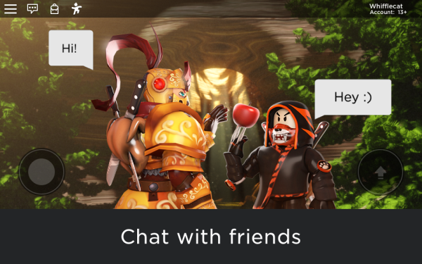Roblox Screenshot 12